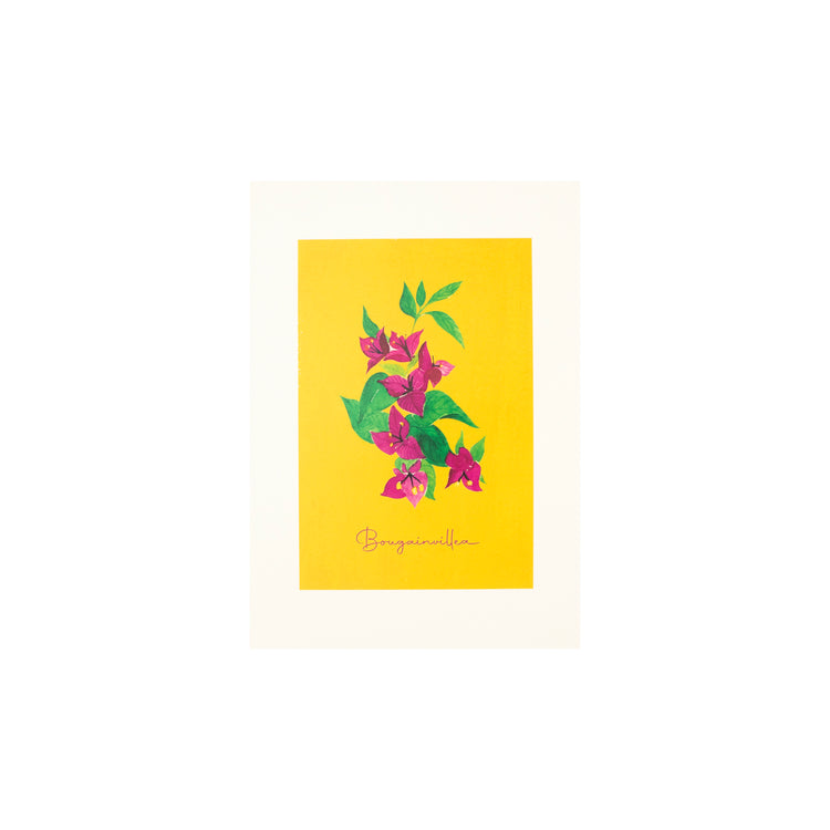 A4 Artprint (Bougainvillea)