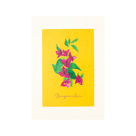 A3 Artprint (Bougainvillea)