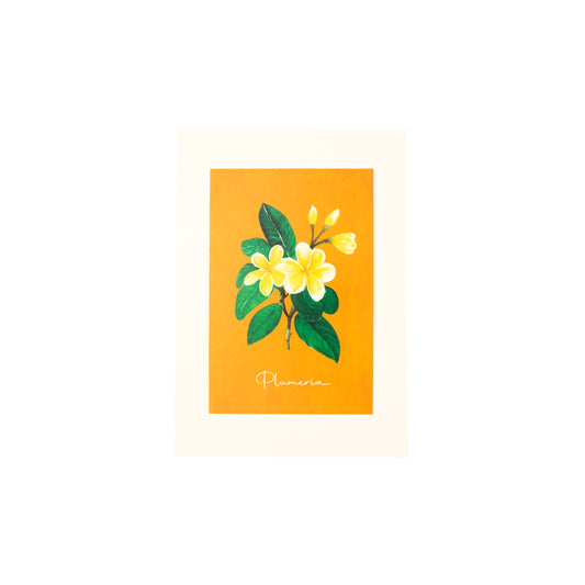 A4 Artprint (Plumeria)